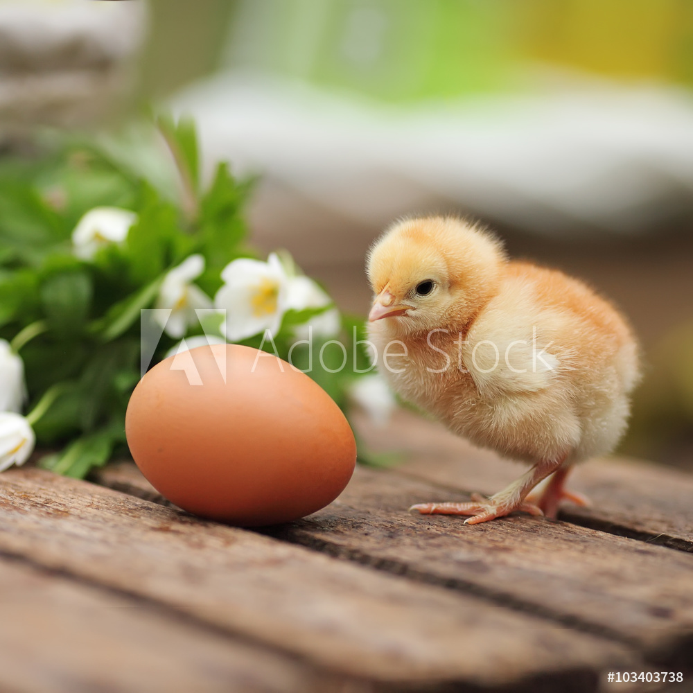 AdobeStock_81514273_Preview